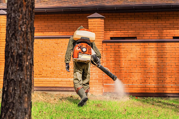 Top rated local Bed Bug Control specialists in Danville, IN